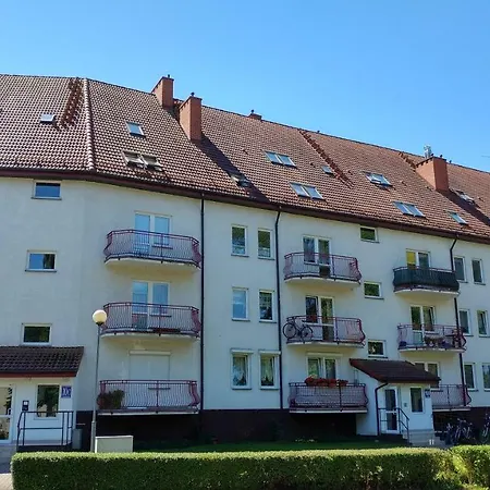 Проживание в семье Good Spirit