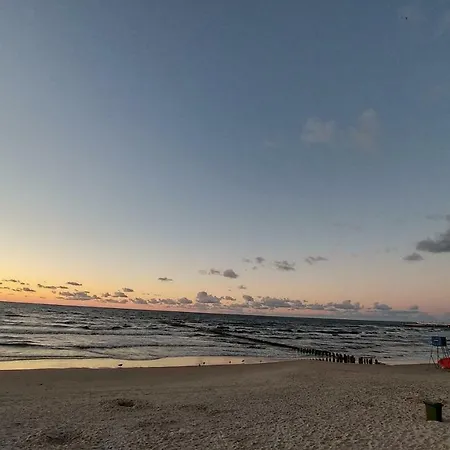 Проживание в семье Good Spirit